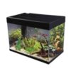 Betta Lifespace 78 Aquarium at Rebel Pets