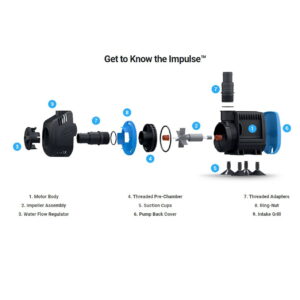 Seachem-Impulse-pump-get-to-know at Rebel Pets