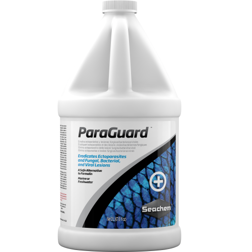 Seachem-ParaGuard-2L at Rebel Pets