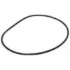 UltraZap O-Ring for Bio Filter Lid