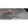 Snow Corn Snake
