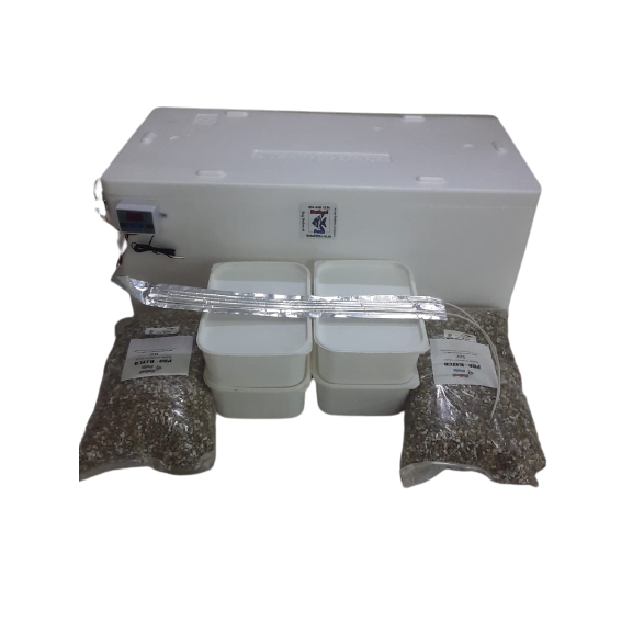 Reptile Incubator 4tub