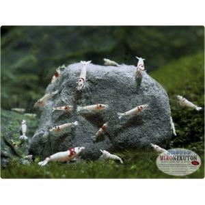 Mironekuton Powder 150g