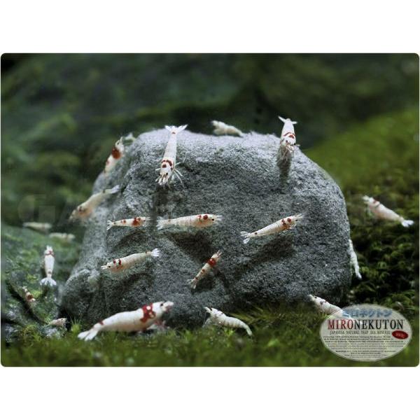 Mironekuton Powder 150g