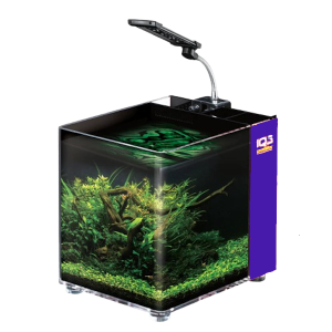 Dymax IQ5 Purple