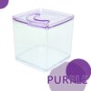 ISTA Tank Square Purple