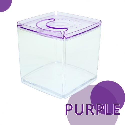 ISTA Tank Square Purple